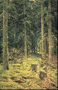 Coniferous Forest